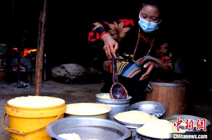 圖為牧民正在制作酥油?！∪湛t文聯(lián)供圖