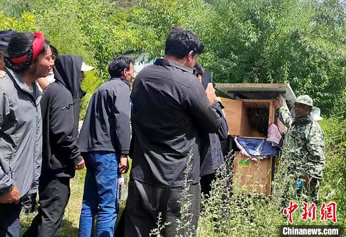 拉久西村村民學(xué)習(xí)養(yǎng)蜂工作流程和防范事項(xiàng)?！〔际忻⒖悼h委宣傳部供圖