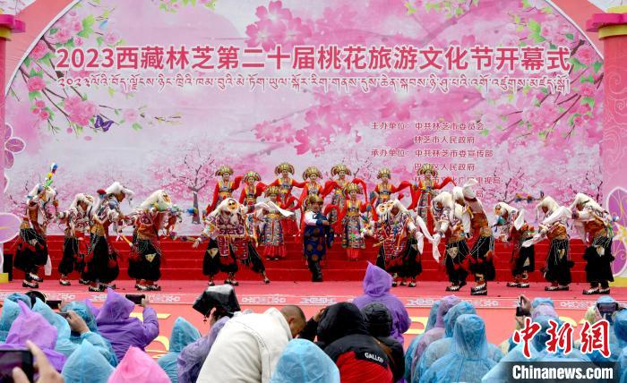 3月28日，西藏林芝第二十屆桃花旅游文化節(jié)開幕式上的文藝表演?！±盍?攝