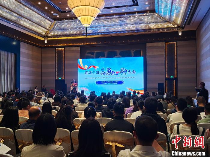 圖為首屆中國(guó)高原心胸大會(huì)現(xiàn)場(chǎng)?！☆D旦旺姆 攝