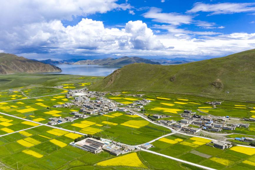 航拍道布龍村，依山傍水，阡陌縱橫。