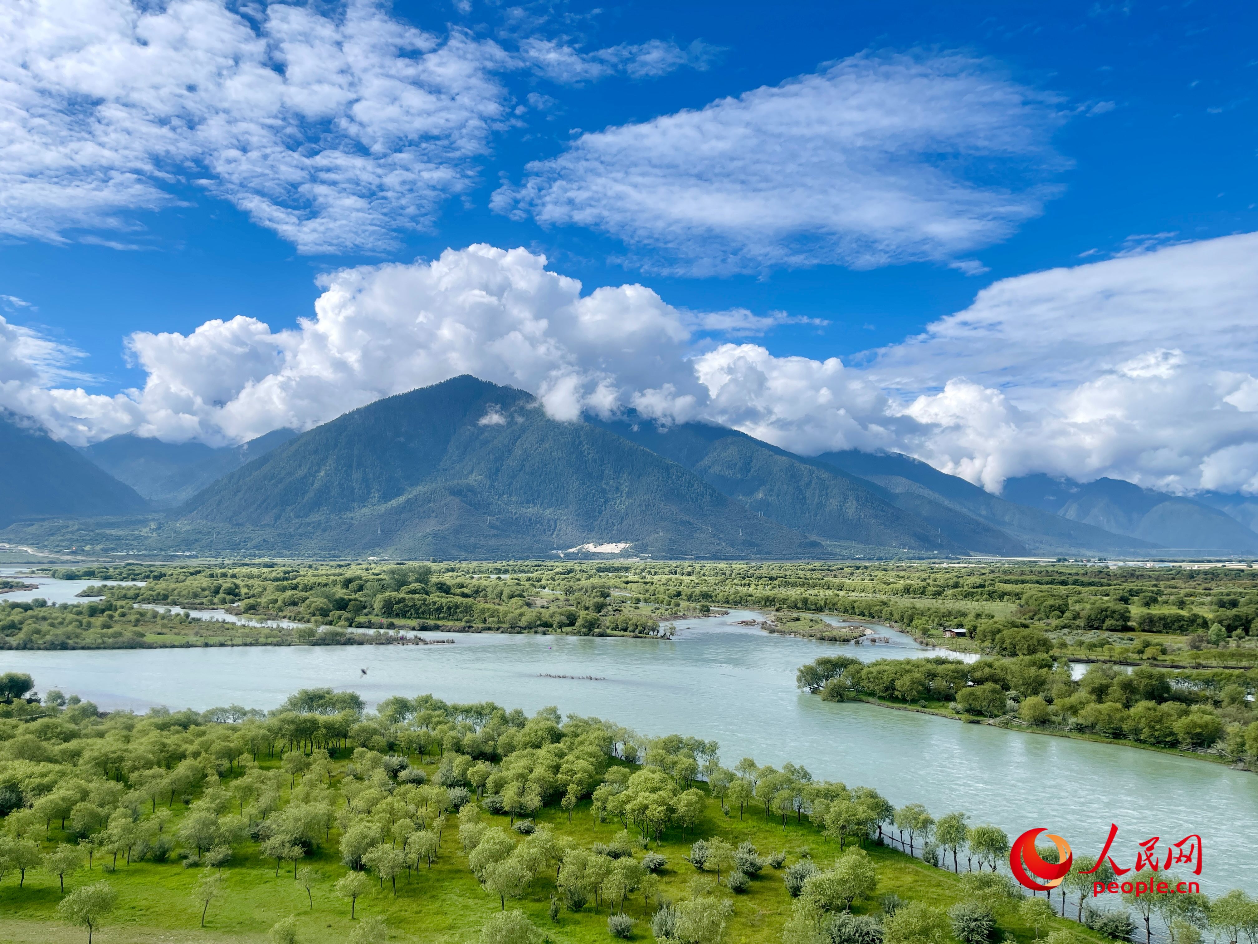 夏日的雅尼國家濕地公園生機(jī)盎然，如詩如畫。人民網(wǎng) 周靜圓攝