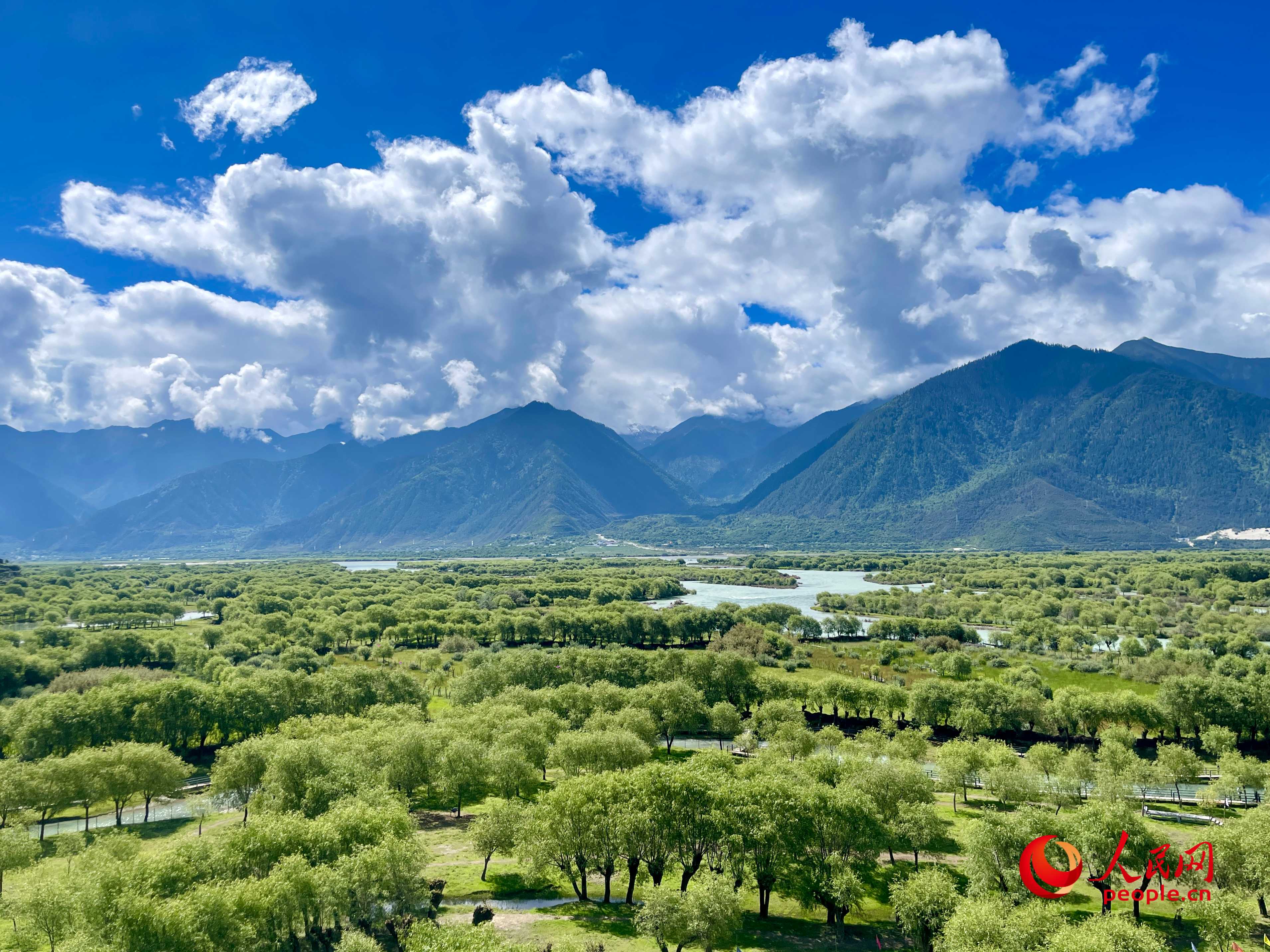 夏日的雅尼國家濕地公園生機(jī)盎然，如詩如畫。人民網(wǎng) 周靜圓攝