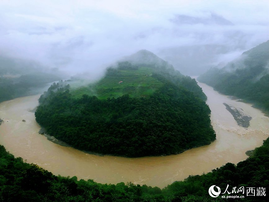 雅魯藏布江大峽谷蛇形拐彎處，山坡上種滿茶樹。
