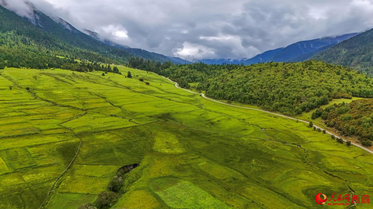 圖為航拍高山牧場(chǎng)鳥(niǎo)瞰圖。人民網(wǎng)記者 次仁羅布攝