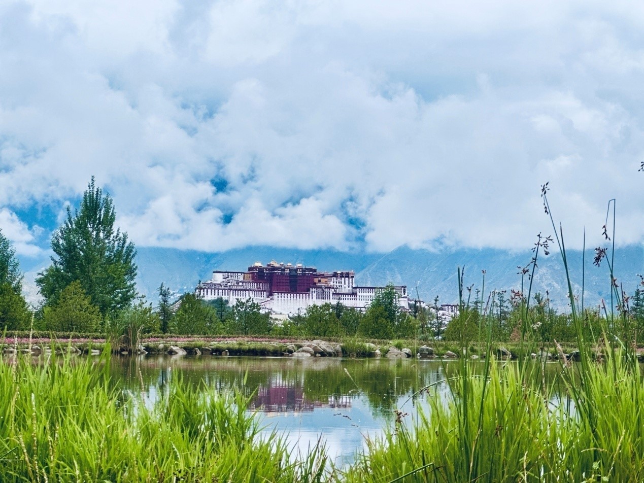 在南山公園遠(yuǎn)眺布達(dá)拉宮。人民網(wǎng)記者 益西康珠攝