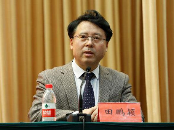 田鵬穎：投入其中、樂在其中、安身其中